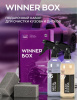 15WINB Набор для очистки кузова и дисков от сложных загрязнений SMART WINNER BOX