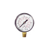 Z025 Манометр пеногенератора 1/4