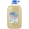 939184 PROGRAS Эконом 5л