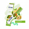 С0007339 Зубная паста EXXE natural 