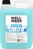200224 Для стекол и зеркал  Wellweek,  5 л