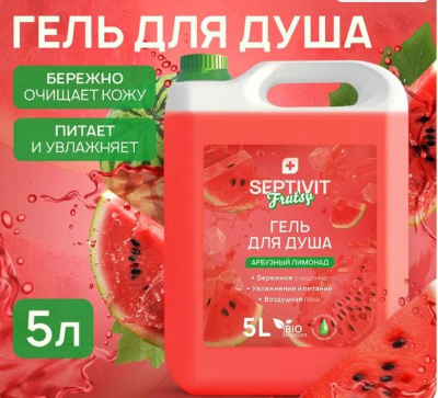 369_5 SEPTIVIT FRUTSY Гель для душа 